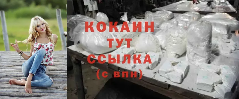 Cocaine FishScale  Буйнакск 